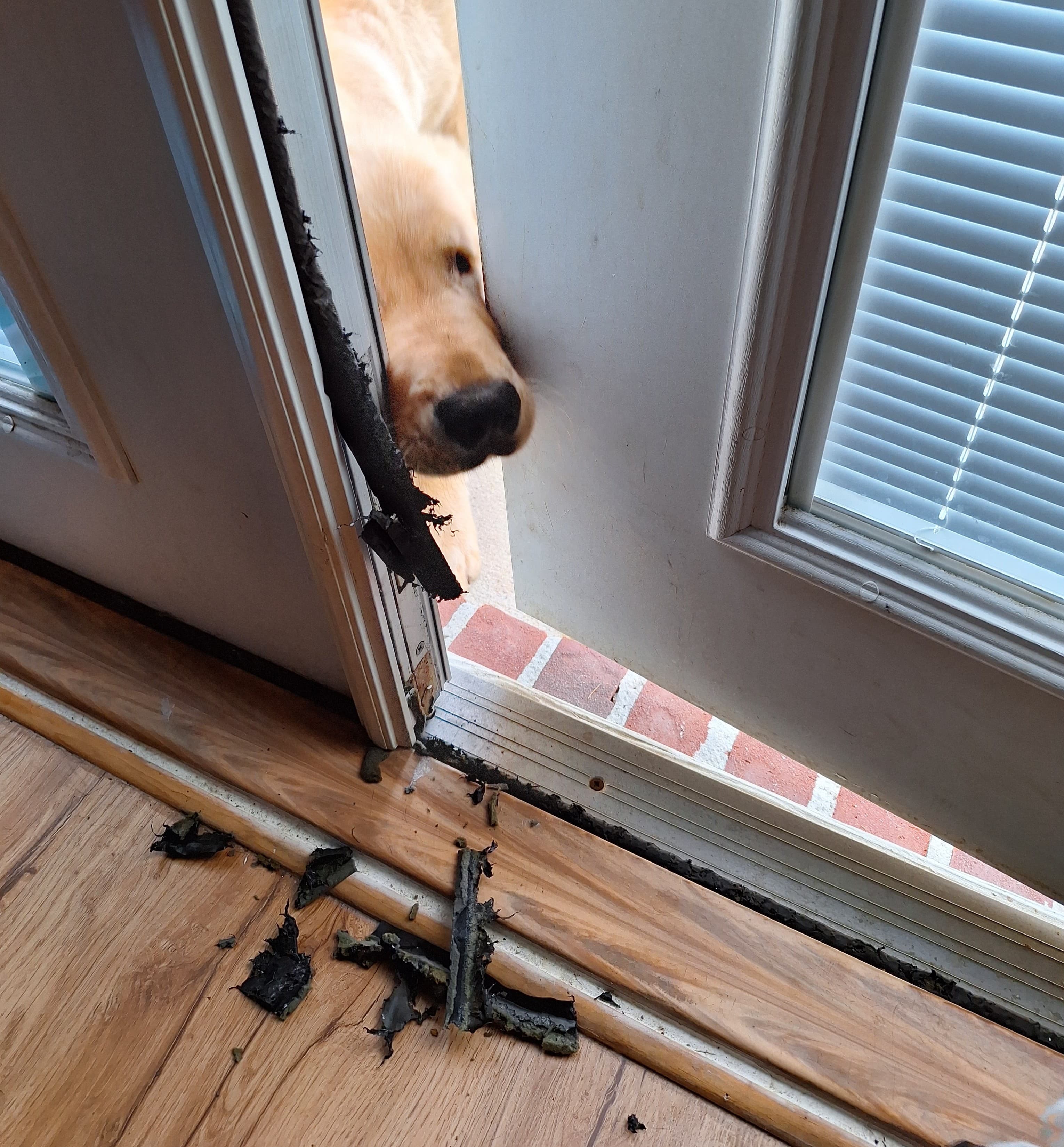 Enzo making a questionable choice