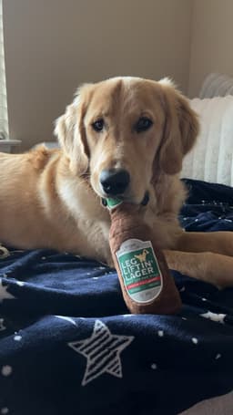 Enzo living the bark-sip-repeat life