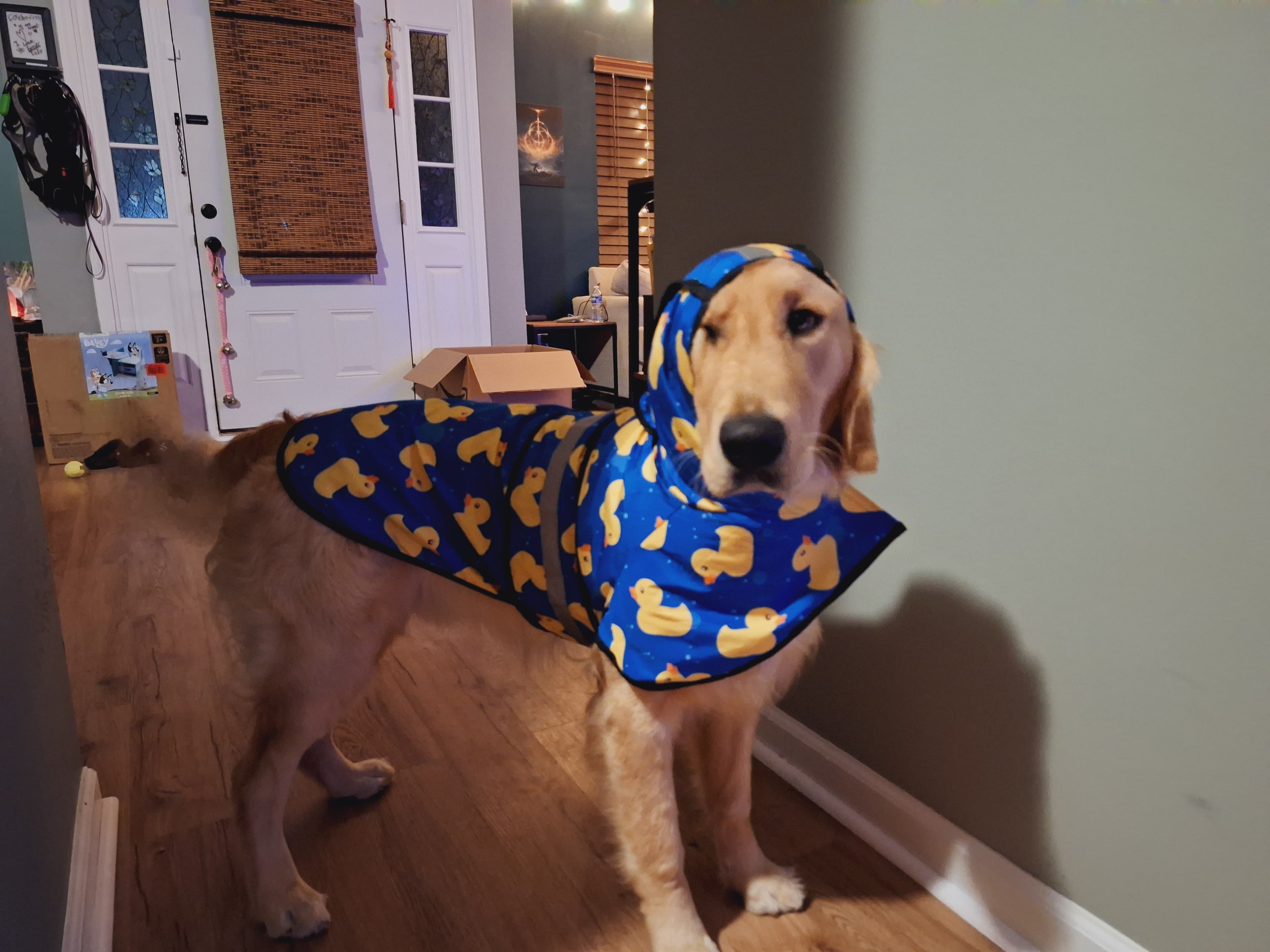 Enzo in his raincoat